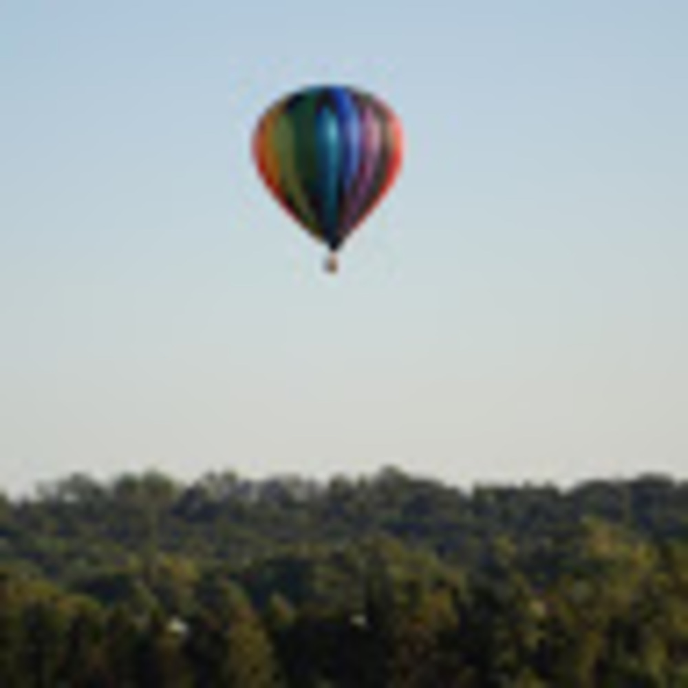 Meet your Posher, Annie